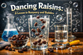 Dancing Raisins: A Lesson in Buoyancy and Bubbles