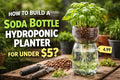 How to build a soda bottle hydroponic planter for under $5?