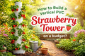 How to build a vertical PVC Strawberry Tower on a budget?