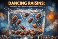 Dancing Raisins: Buoyancy and Carbon Dioxide Bubbles (#92)