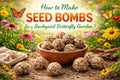 How do you make Seed Bombs for a backyard butterfly garden?