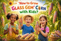 How to grow Glass Gem corn with kids?