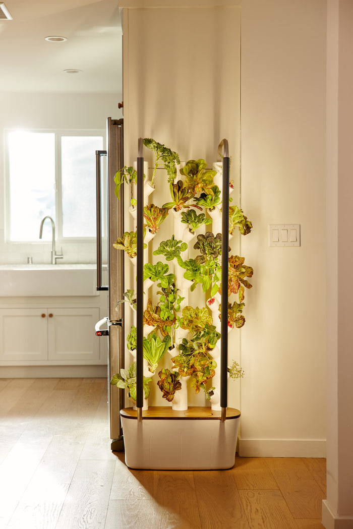 The Ultimate Gardyn Home System Deep Dive: Everything Your Family Needs to Know