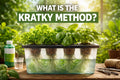 What is the Kratky Method?