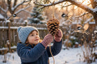 Winter Bird Feeder for Kids (2026): A Pinecone Feeder Winter Birds Love