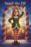 Sandi the Elf book cover